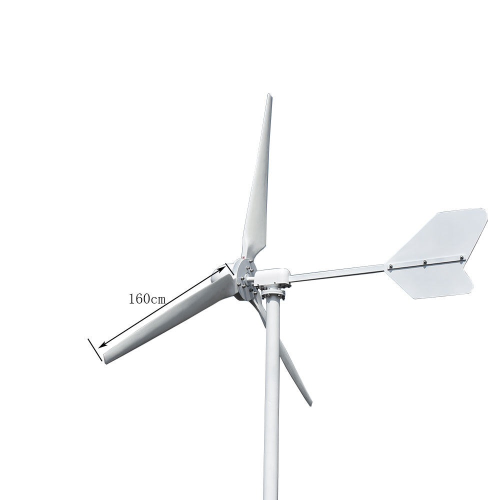 Wind Turbine 48V 96V 120V 220V Windmill Power Power Generator For Home 5KW 5000W