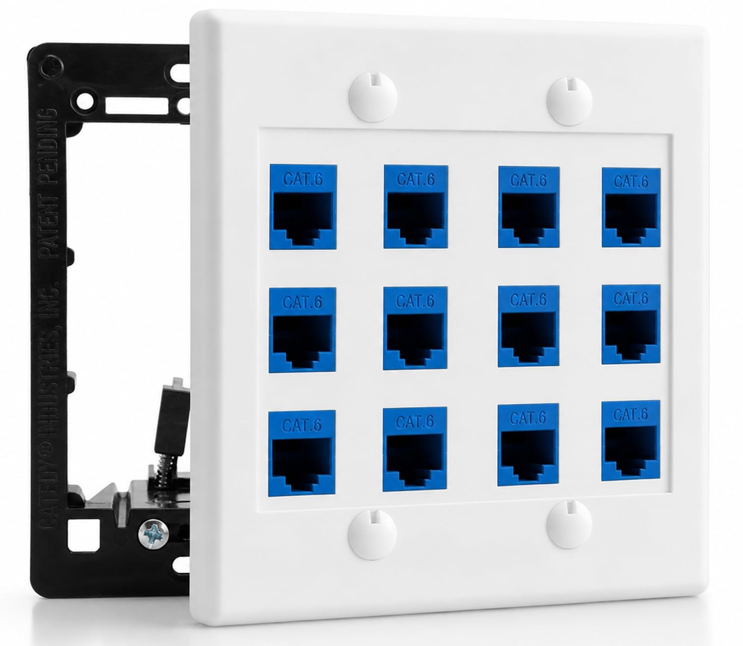 DIYTECH 12 Port Ethernet Wall Plate, Cat 6, Wall Outlet, RJ45 Female to Femal…