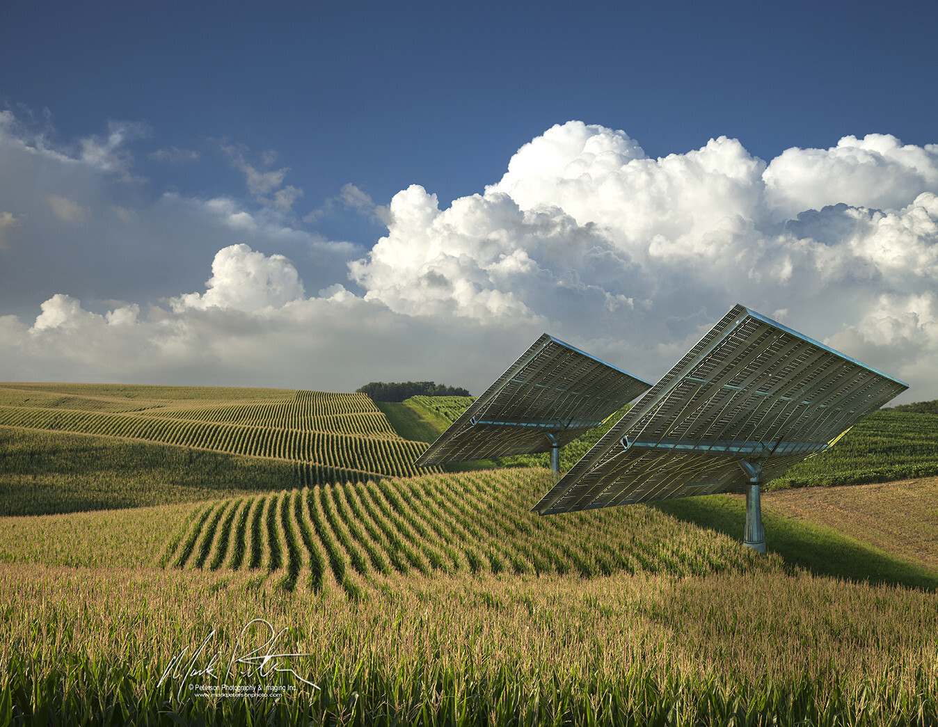 Jinko 590W Solar Panel, Bifacial Tiger Neo NType 72HL4-BDV FREE FREIGHT, $0.26/W