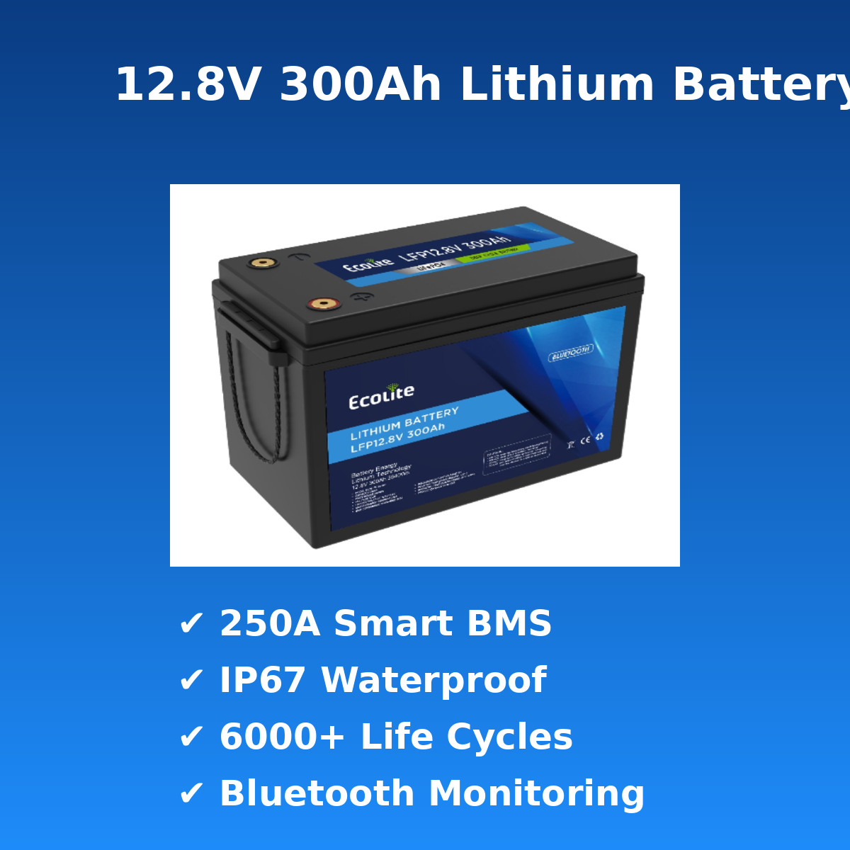 ECOLITE 12V 300Ah Lithium Battery Solar Mini Iron Phosphate Core RV Camping Van