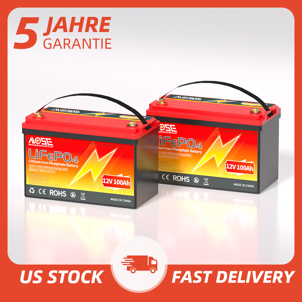 48V 36V 24V 12V LiFePO4 100Ah 200Ah 300Ah 400Ah Lithium Battery BMS RV Solar