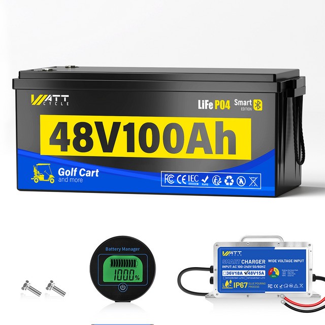 WattCycle 48V 100Ah LiFePO4 Golf Cart Battery Bluetooth + 15A Charger Included