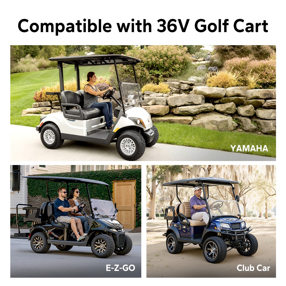 LiTime 36V 100Ah Bluetooth LiFePO4 Lithium Battery+Monitor+Charger For Golf Cart