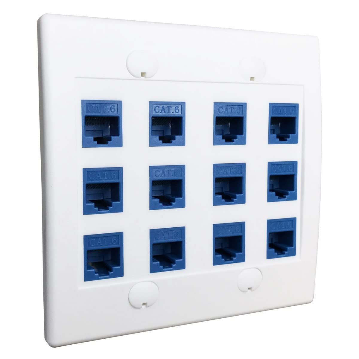 DIYTECH 12 Port Ethernet Wall Plate, Cat 6, Wall Outlet, RJ45 Female to Femal…