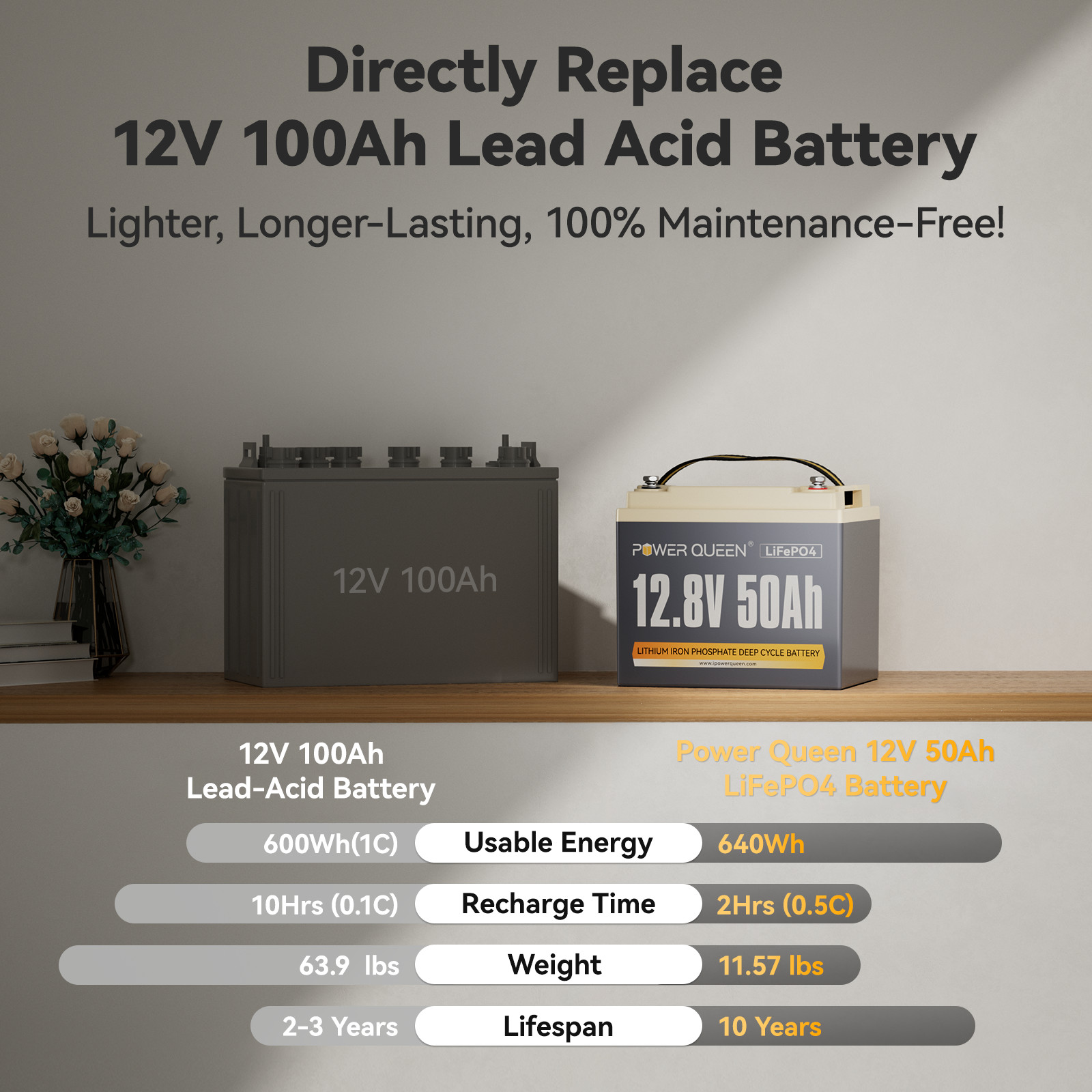 Power Queen 12V 50Ah LiFePO4 Lithium Mini Battery 50A BMS For RV Camper